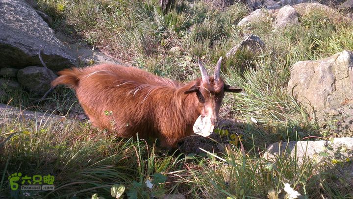 泰山：固顶山-新泰沟-明家滩20121014IMAG1575