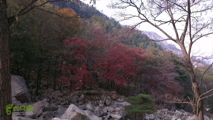 泰山：固顶山-新泰沟-明家滩20121014IMAG1581