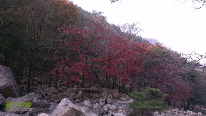 泰山：固顶山-新泰沟-明家滩20121014IMAG1582
