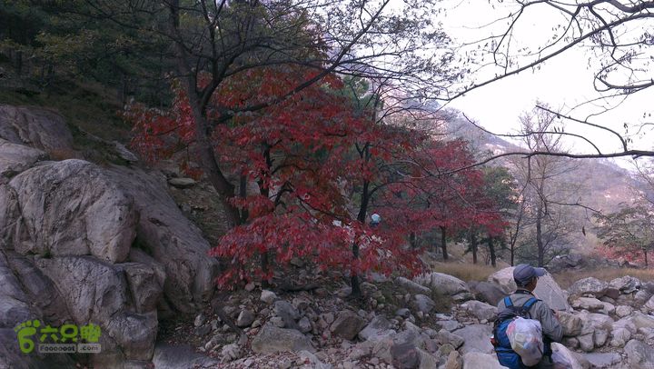 泰山：固顶山-新泰沟-明家滩20121014IMAG1585