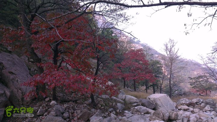 泰山：固顶山-新泰沟-明家滩20121014IMAG1586