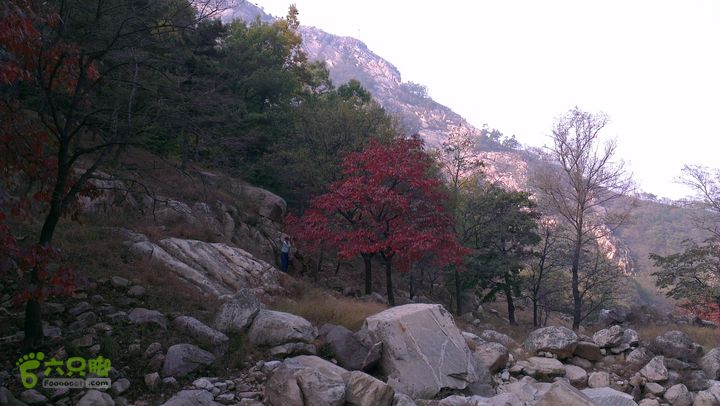 泰山：固顶山-新泰沟-明家滩20121014IMAG1587