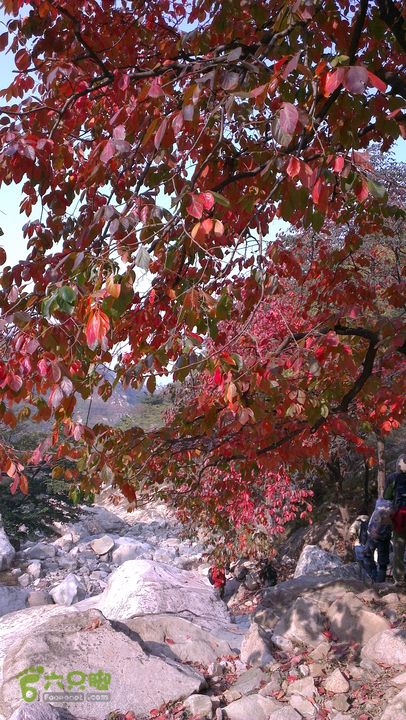 泰山：固顶山-新泰沟-明家滩20121014IMAG1590