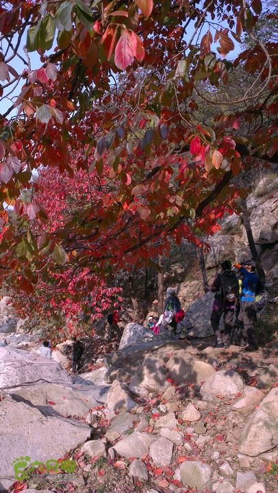 泰山：固顶山-新泰沟-明家滩20121014IMAG1591