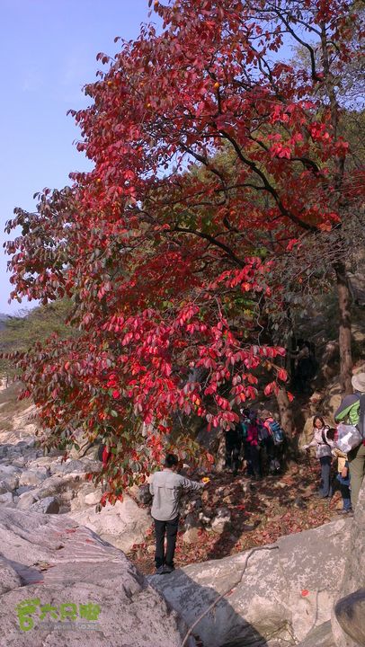 泰山：固顶山-新泰沟-明家滩20121014IMAG1592