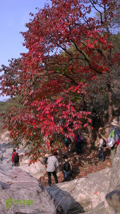 泰山：固顶山-新泰沟-明家滩20121014IMAG1593