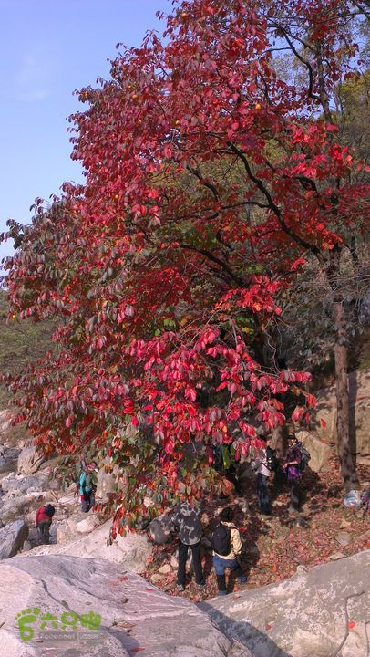 泰山：固顶山-新泰沟-明家滩20121014IMAG1594