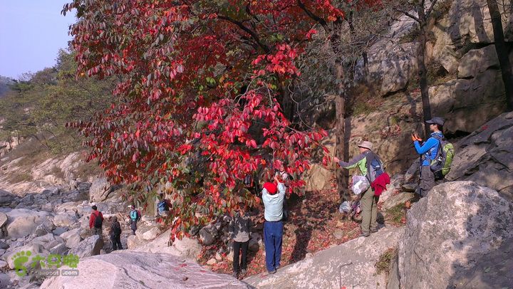 泰山：固顶山-新泰沟-明家滩20121014IMAG1595
