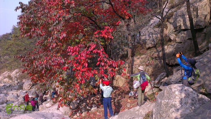 泰山：固顶山-新泰沟-明家滩20121014IMAG1596