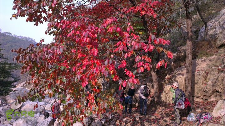 泰山：固顶山-新泰沟-明家滩20121014IMAG1597