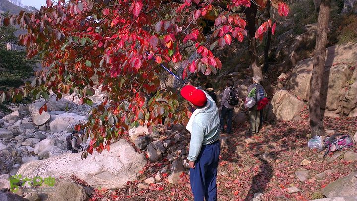 泰山：固顶山-新泰沟-明家滩20121014IMAG1598