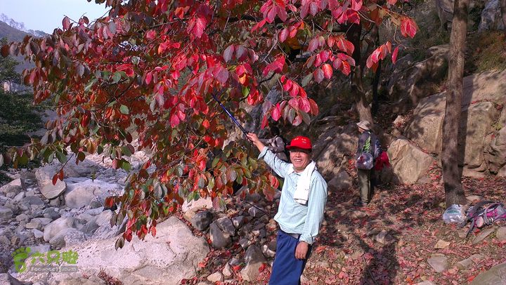 泰山：固顶山-新泰沟-明家滩20121014IMAG1599