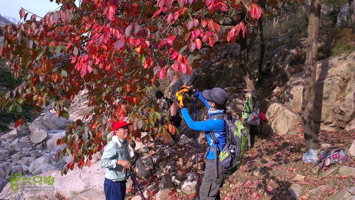 泰山：固顶山-新泰沟-明家滩20121014IMAG1601