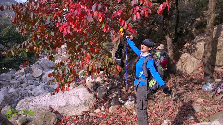 泰山：固顶山-新泰沟-明家滩20121014IMAG1602