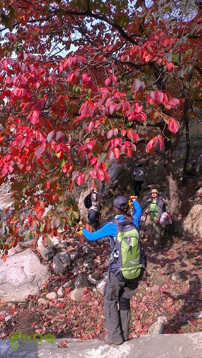 泰山：固顶山-新泰沟-明家滩20121014IMAG1603