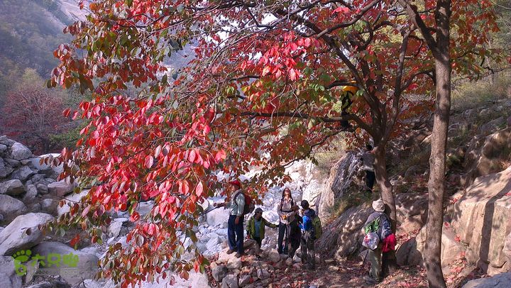 泰山：固顶山-新泰沟-明家滩20121014IMAG1604