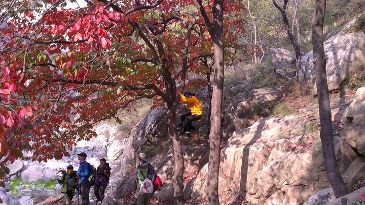 泰山：固顶山-新泰沟-明家滩20121014IMAG1606