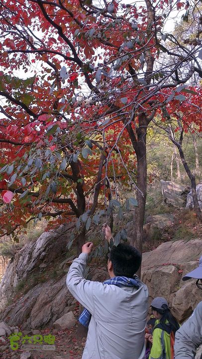 泰山：固顶山-新泰沟-明家滩20121014IMAG1611