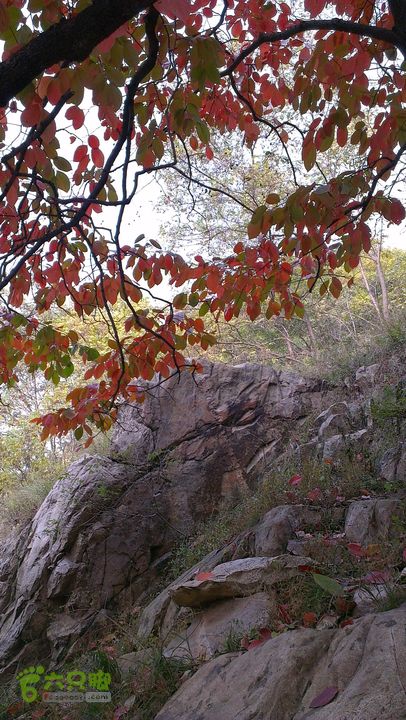 泰山：固顶山-新泰沟-明家滩20121014IMAG1612