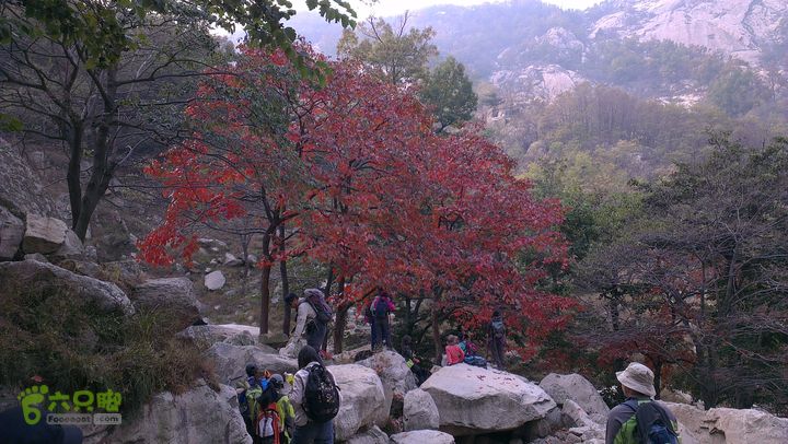 泰山：固顶山-新泰沟-明家滩20121014IMAG1613