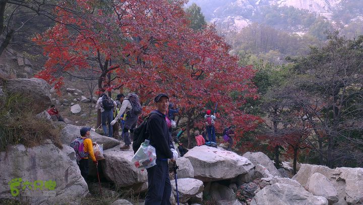 泰山：固顶山-新泰沟-明家滩20121014IMAG1614