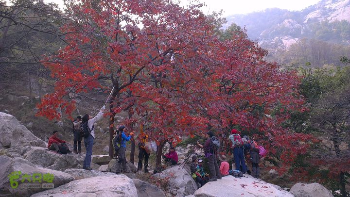 泰山：固顶山-新泰沟-明家滩20121014IMAG1615