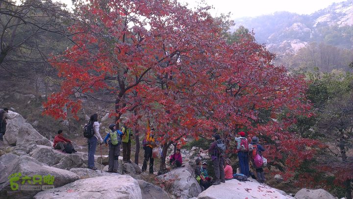 泰山：固顶山-新泰沟-明家滩20121014IMAG1616