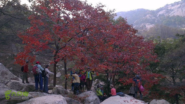 泰山：固顶山-新泰沟-明家滩20121014IMAG1617