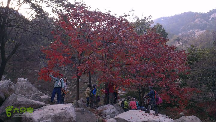 泰山：固顶山-新泰沟-明家滩20121014IMAG1618