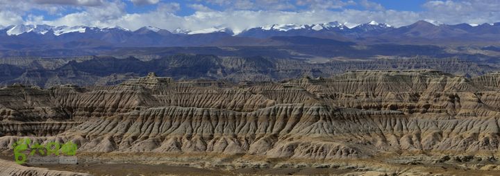 西藏游 D8 神山-扎达DSC_1201