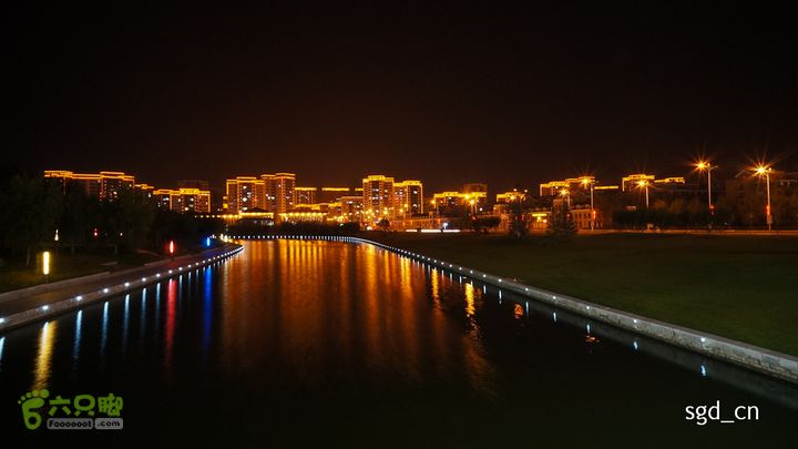 夜色下的新城区DSC03787