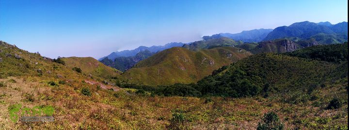 古崖秋意正浓时、抱得金瓜归IMAG2569