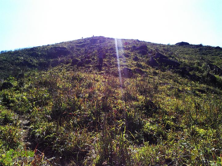 古崖秋意正浓时、抱得金瓜归IMAG2643