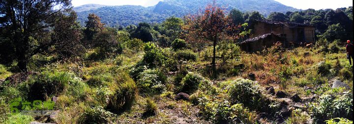 古崖秋意正浓时、抱得金瓜归IMAG2656