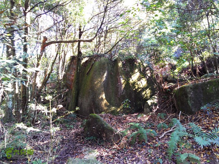 古崖秋意正浓时、抱得金瓜归IMAG2660