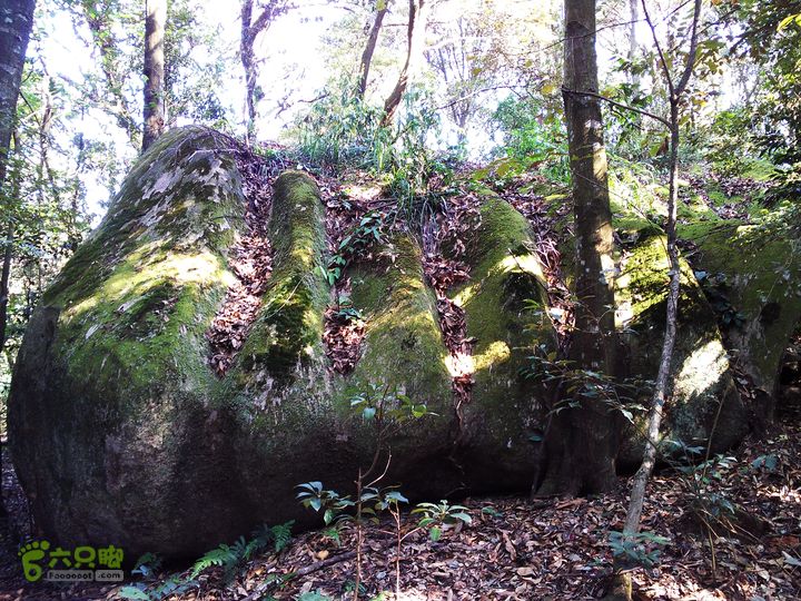 古崖秋意正浓时、抱得金瓜归IMAG2664