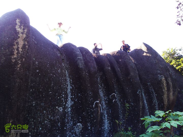 古崖秋意正浓时、抱得金瓜归IMAG2669