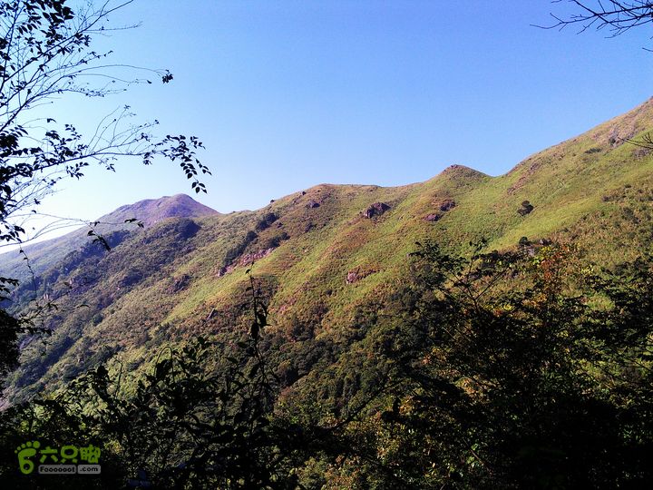 古崖秋意正浓时、抱得金瓜归IMAG2692