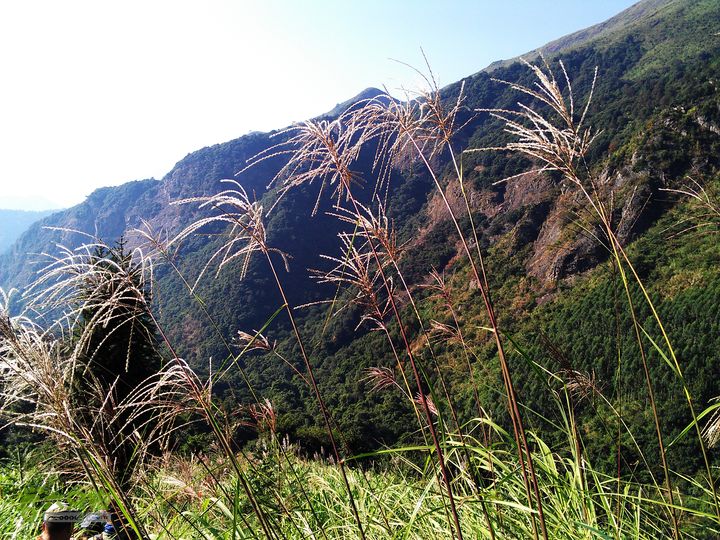 古崖秋意正浓时、抱得金瓜归IMAG2701