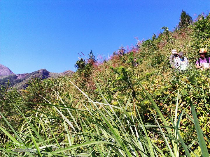 古崖秋意正浓时、抱得金瓜归IMAG2703