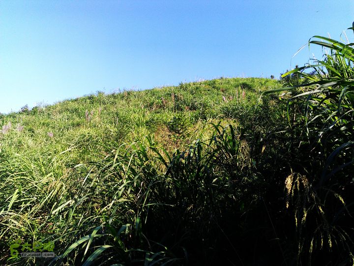 古崖秋意正浓时、抱得金瓜归IMAG2704