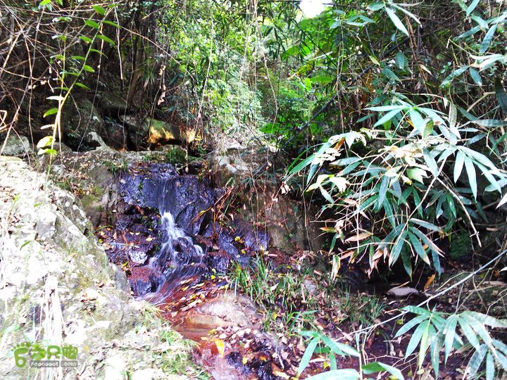 古崖秋意正浓时、抱得金瓜归IMAG2711