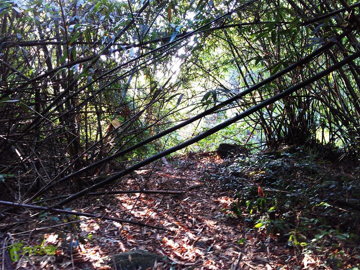 古崖秋意正浓时、抱得金瓜归IMAG2718