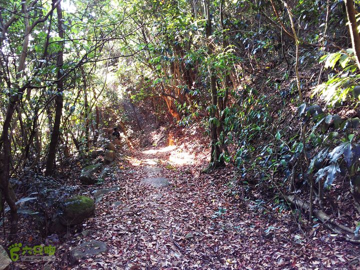 古崖秋意正浓时、抱得金瓜归IMAG2721