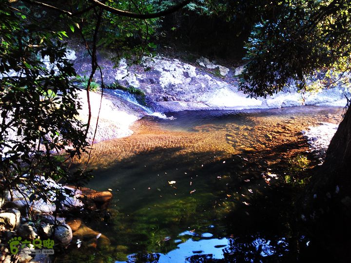 古崖秋意正浓时、抱得金瓜归IMAG2726