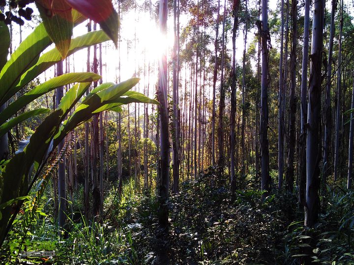 古崖秋意正浓时、抱得金瓜归IMAG2727