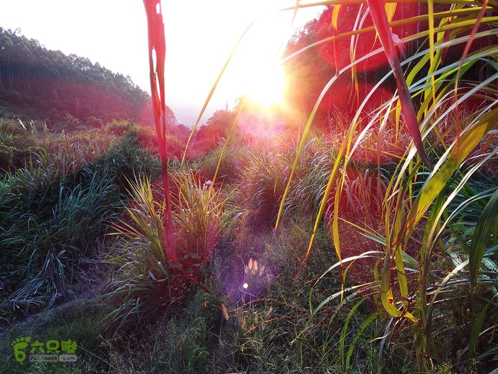 古崖秋意正浓时、抱得金瓜归IMAG2739