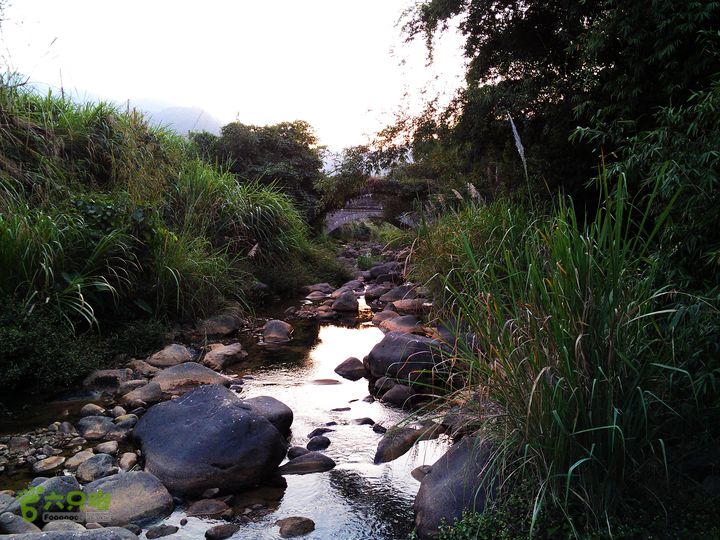 古崖秋意正浓时、抱得金瓜归IMAG2745