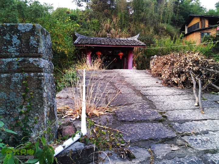 古崖秋意正浓时、抱得金瓜归IMAG2750