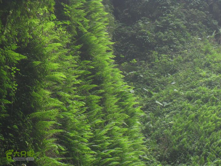 2012-9-27南宁通灵瀑布步行IMG_0247